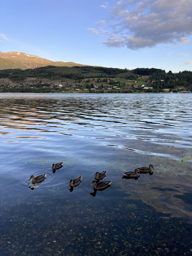 Discover the Beauty of Norway's Fjords in Summer