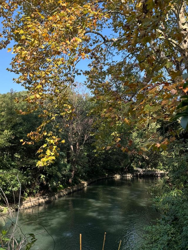 我宣布！這就是上海最寧靜的公園