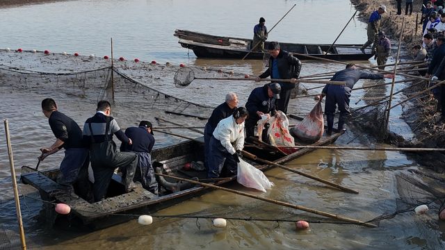 第十屆神奇高郵湖乾塘旅遊節