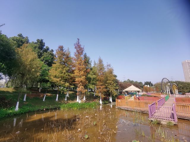 賞秋好去處，童夢樂園｜番禺區兒童公園