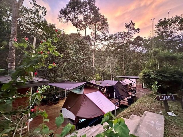 The HIJAU Camp & Cabin