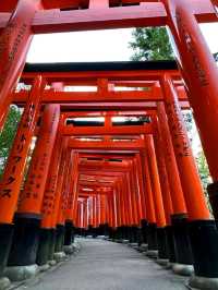 Explore Fushimi Inari Taisha Shrine ⛩️