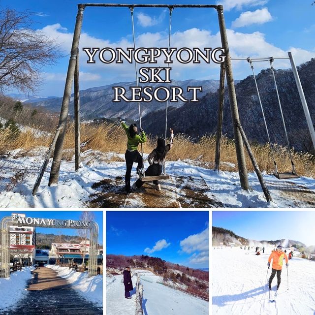 Winter Wonderland: Yongpyong Ski Resort's Delight