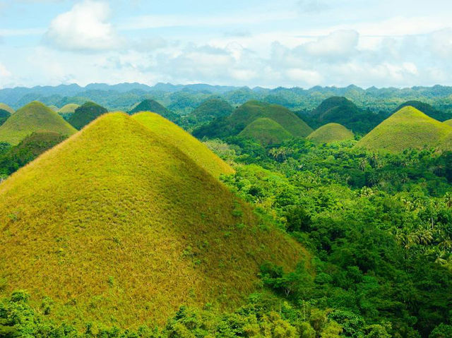 The Chocolate Hills: remarkable geological formation and iconic hills in the island of Bohol. 