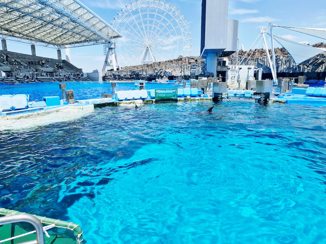 Port Of Nagoya Public Aquarium 