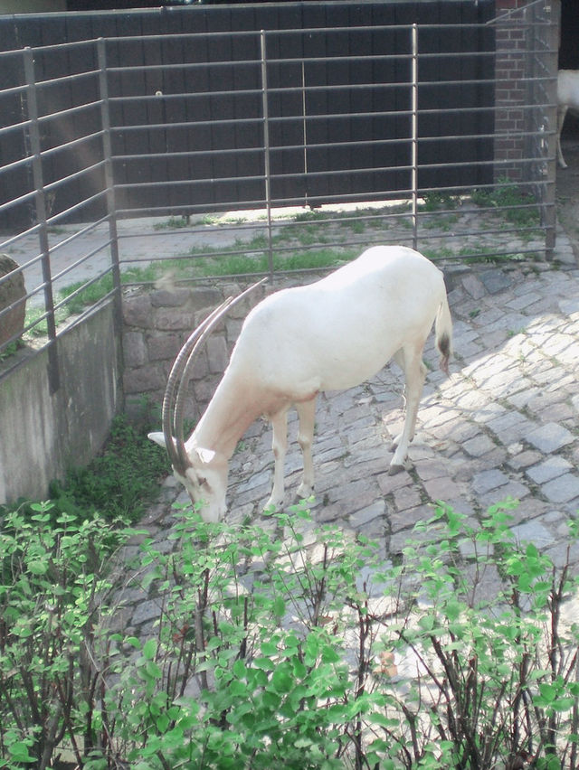 超大動物園～一次過看過夠