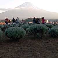 Hidden Gems Around Mount Fuji: A Journey of Discovery