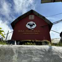 Exploring the Sheep Sanctuary: A Perfect Family Outing in Cameron Highlands