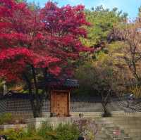 A Journey Through Traditional Korean Art and Serenity