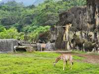  台北市立動物園：台灣最大且最具教育意義的生態樂園