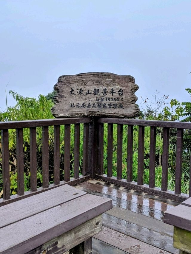 漫步奮起湖森林步道：小百岳大凍山