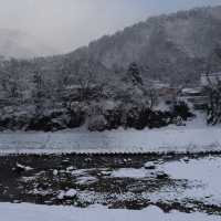 "探索白川鄉的童話世界：合掌村的夢幻之旅✨🏡"