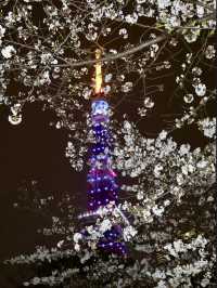 Must visit Tokyo tower 🗼 japan 🇯🇵