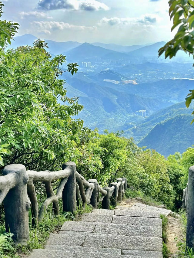 雲山疊翠：梧桐山的晨曦步履