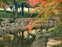 環山森林氧吧·雅適（西湖風景名勝區店）