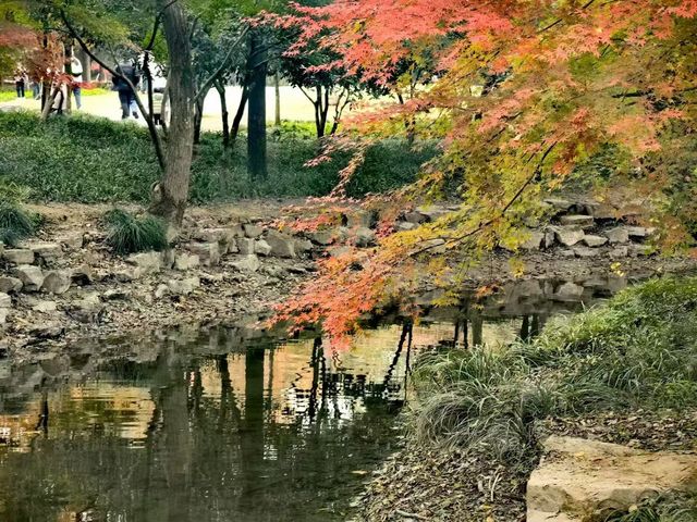 環山森林氧吧·雅適（西湖風景名勝區店）