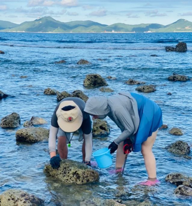 大連趕海：灘平水淺的趕海聖地