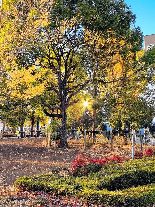 風景超棒的東京台場，是來日本東京的必打卡之地！