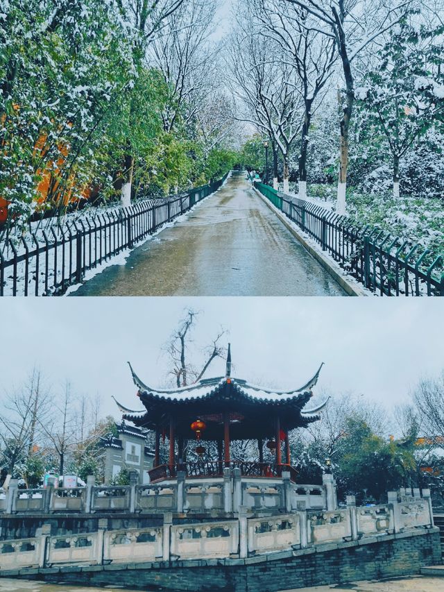 看，雪花飄落的足跡—南京賞雪地打卡推薦