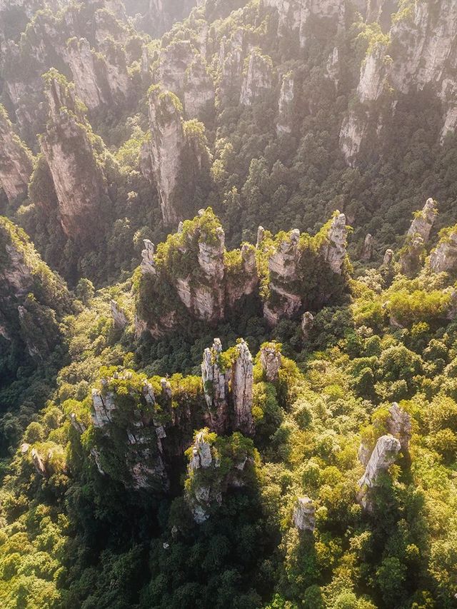 長沙-韶山-張家界親子遊超詳細攻略來啦必收藏