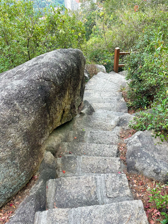 在廈門不止是海，還有這山