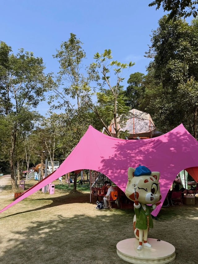 周末遛娃好去處 | 深圳隱藏的森林樂園