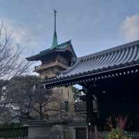 Charming Streets and Timeless Beauty: Gion, Kyoto