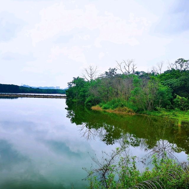 環西麗湖綠道