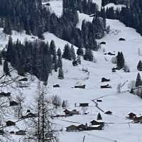 Babies Across Switzerland