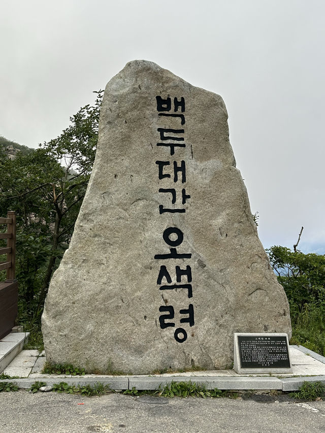 첩첩산중 🏞️ 아름다운 백두대간 풍경을 볼 수 있는 산 속 전망대 휴게소 💚