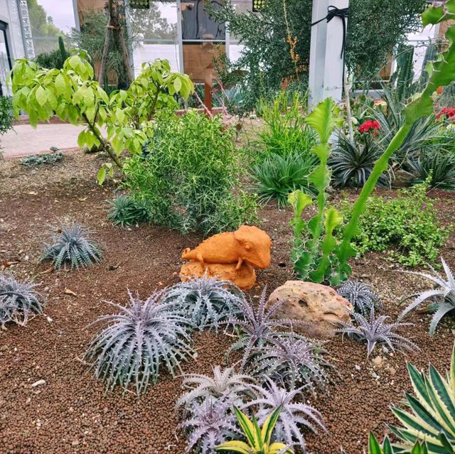 清邁拉查帕皇家花園