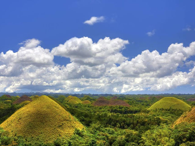 The Chocolate Hills: remarkable geological formation and iconic hills in the island of Bohol. 