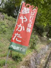 【夢前町】農家レストランで辛味大根そばを食す