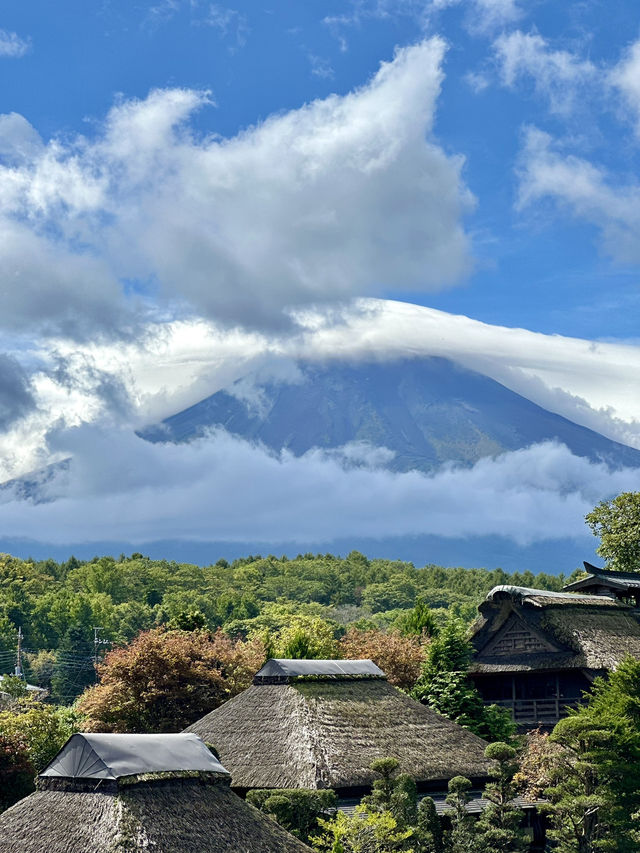 Epic Road Trip Around Fuji's Five Lakes 🗻