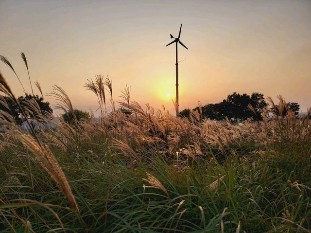 A breathtaking sunset view from Hanuel Park at Seoul