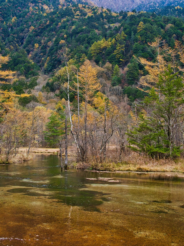 【長野】紅葉だって楽しめる🍁大自然に魅せられる絶景スポットを紹介🔍※アクセス攻略付