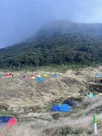 Camping At Surya Kencana Mt Gede ⛺️ 