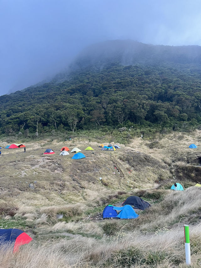 Camping At Surya Kencana Mt Gede ⛺️ 