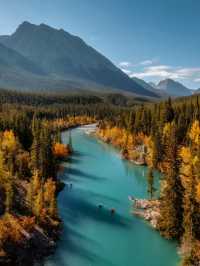 A Guide to Kayaking in Alberta🛶