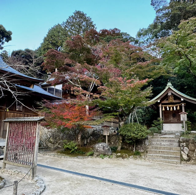 Slow life in Yanagawa and old town charm in Dazaifu