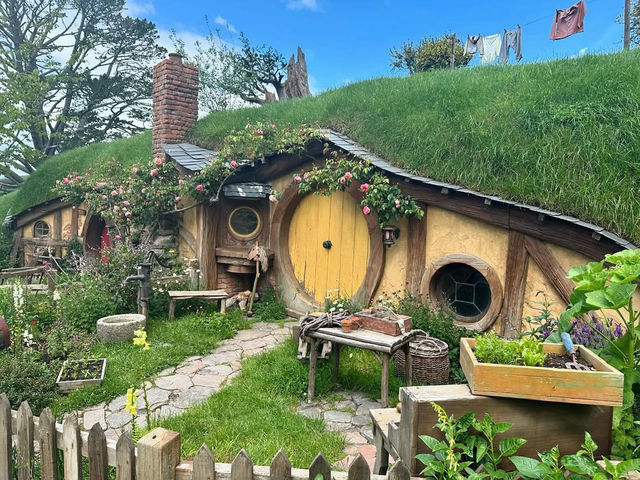 A Journey Through Middle-earth Magic