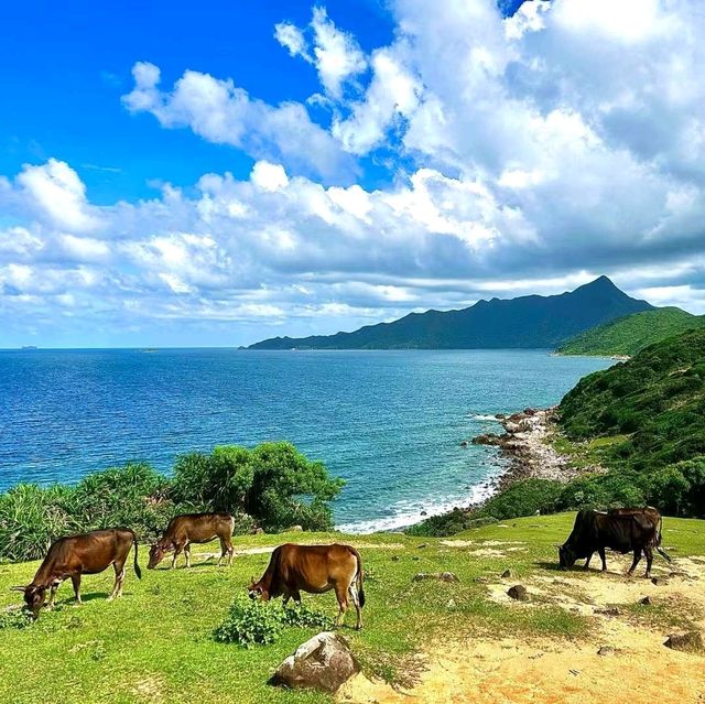 Grass Island Hong Kong