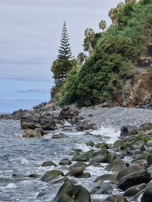 Hiking in Madeira 🏖️