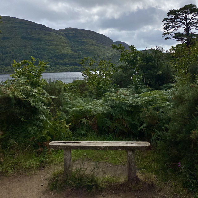 Beauty at Every Turn 🌳🚶‍♂️