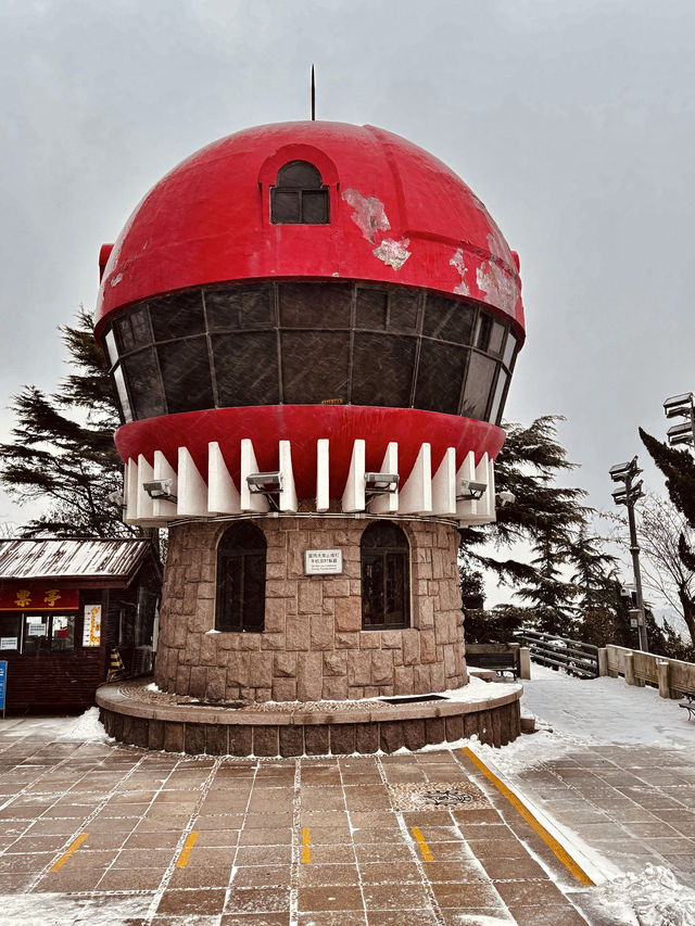 不是韓國！在青島！雪後青島太出片！！！