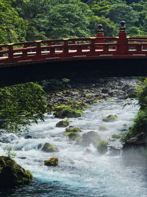 Explore Nikko's Hidden Gem: Toshogu Shrine