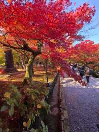 京都賞楓頂流之一：東福寺