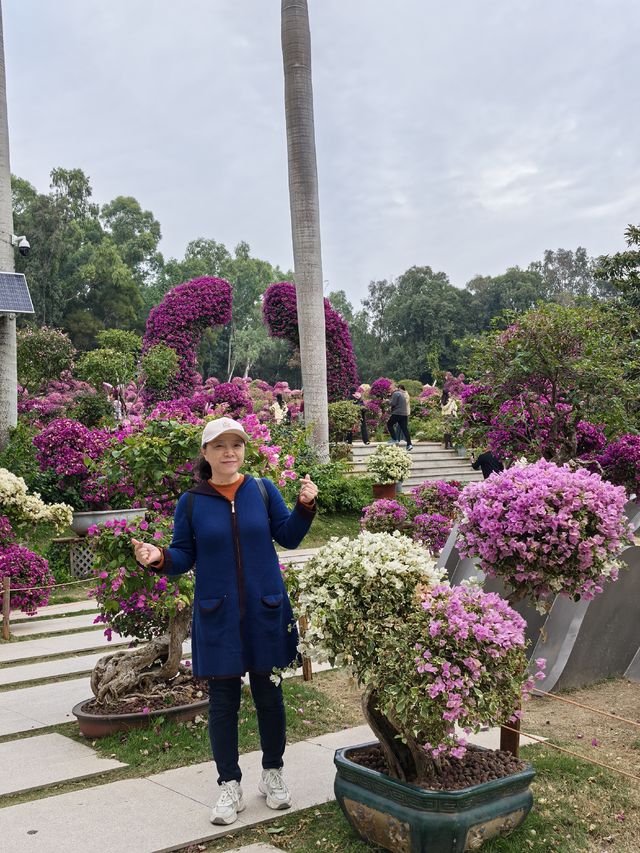 深圳蓮花山公園親子遊體驗之旅