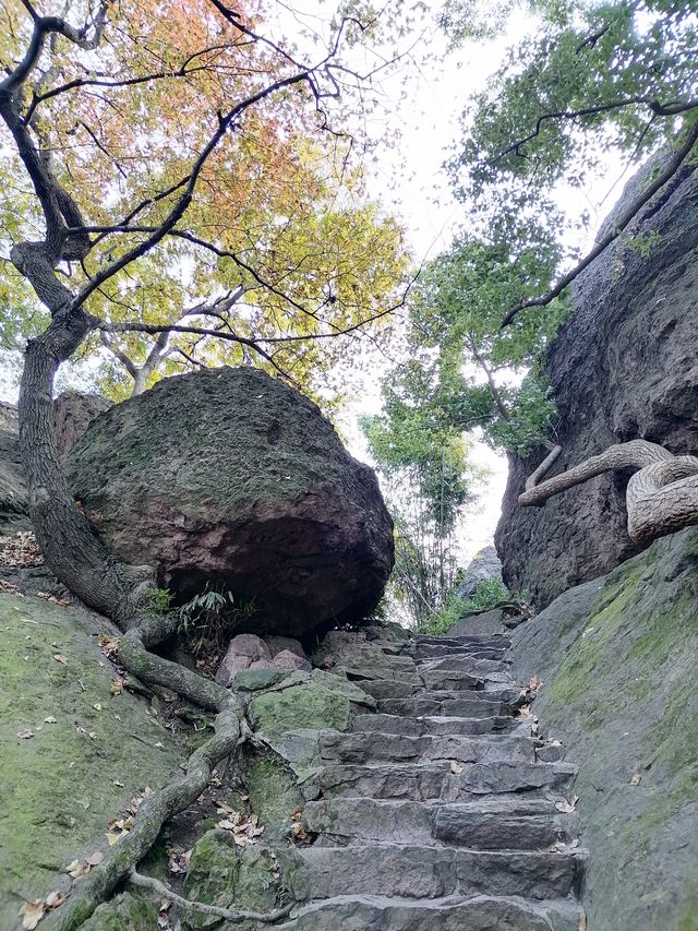 杭州保俶塔丨全國重點文物保護單位