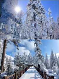 成都周邊玩雪怎麼選？ | 瓦屋山西嶺雪山